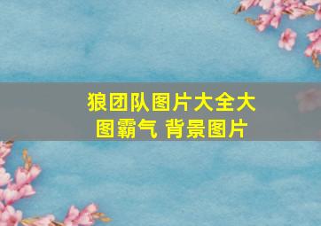 狼团队图片大全大图霸气 背景图片